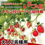 まるは食堂 マルハリゾート いちごの丘 いちご狩り