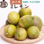 加工用 レモン7.5kg+250g 傷み補償分