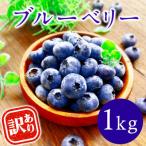 ふるさと納税 あさぎり町 【訳あり】熊本県あさぎり町産 粒の大きさ不揃い 手摘みブルーベリー 生果実 約1kg