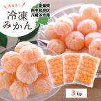 シロップ 化学薬品不使用 外皮なし むき冷凍みかん3kg