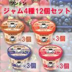 ふるさと納税 石岡市 ソントン　いちご3個　ブルーベリー3個　マーマレード3個　ピーナッツ3個