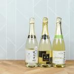 ふるさと納税 山梨市 泡好きおすすめ!スパークリング3本セット 山梨ワイン 飲み比べ