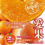 ふるさと納税 伊予市 あいか 愛媛果試28号 紅まどんな同品種 愛媛産 ご家庭用 約2kg S〜4L玉 大きさおまかせ