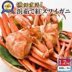 佐渡島直送 冷蔵 浜茹で紅ズワイガニ 400g×3杯