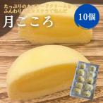 月ごころ10個入り