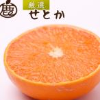 ふるさと納税 有田川町 厳選 せとか1kg+250g(傷み補償分)【柑橘・春みかんの王様】【光センサー選果・食べ頃出荷】