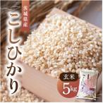 ふるさと納税 かすみがうら市 令和8年産 新米 コシヒカリ 玄米 5kg | こしひかり お米 茨城県かすみがうら市産