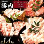 豚のトンカツ 焼肉 しゃぶしゃぶセット 計1.4kg