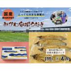 みかわ安城うなぎ 大きな白焼き 4尾
