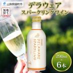 ふるさと納税 笛吹市 無地熨斗 デラウェアスパークリングワイン 白 290ml 6本入 モンデ酒造 山梨県 笛吹市