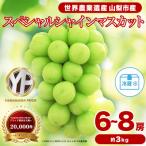 ふるさと納税 山梨市 フルーツ王国山梨産厳選 シャインマスカット 6〜8房(約3kg) 約1.5kg×2箱