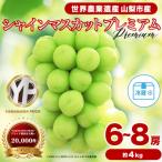 ショッピングふるさと納税 シャインマスカット ふるさと納税 山梨市 2026年度先行予約 フルーツ王国山梨 厳選 シャインマスカット 6〜8房(約4kg) 2kg×2箱