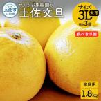 マルツジ果樹園の土佐文旦 中玉 2L