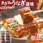 ふるさと納税 広川町 中国産うなぎ刻み鰻蒲焼個食100g×10パック計1kg