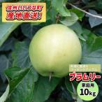 りんご シナノゴールド 10kg