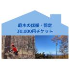 庭木の伐採 剪定 30,000円チケット