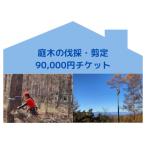 庭木の伐採 剪定 90,000円チケット
