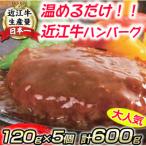 ふるさと納税 近江八幡市 【総本家肉のあさの】近江牛ハンバーグ 600g(120g×5個)【AE14U】