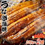 中 うなぎ蒲焼 計440g