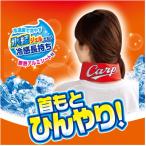カープスーパーネックール氷結II 2個セット