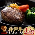 ふるさと納税 豊岡市 神戸牛生ハンバーグ12個入C