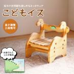 きょうりゅうのこどもいす IB116-012
