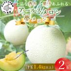 ふるさと納税 松浦市 大玉アールスメロン 夢メロン2玉(1玉1.4kg以上)