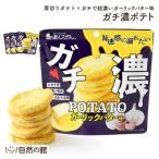 訳アリ じゃがスナック ガチ濃ポテト 13袋×43g