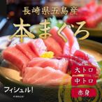 マグロづくし セット フィシュル 赤身 5枚