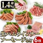 鹿児島発 シャルキュトリ セット 6種