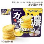 訳アリ じゃがスナック ガチ濃ポテト 9袋×43g
