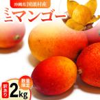 ふるさと納税 国頭村 【2026年6月から順次発送】数量限定の訳ありミニマンゴー2kg