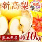 ふるさと納税 山鹿市 【先行予約】 新高梨 約10kg(12〜32玉) ナシ 【日本フルーツ株式会社】(山鹿市)