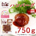 SA1995 東北日本ハム ハンバーグ 75g×10個