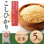 こしひかり玄米5kg 日光ダイヤ舞 栽培期間中農薬不使用1年目