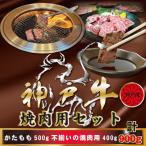 ふるさと納税 神戸市 神戸牛(神戸ビーフ) 焼肉500g・焼肉(不揃い)400g 計900g KBY3