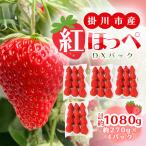 総重量約1080g いちご 紅ほっぺ DXパック 4パック入