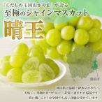 産シャインマスカット 晴王 約5kg
