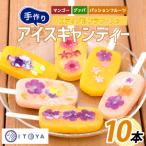 手作りアイスキャンディー エディブルフラワー入り 10本