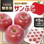 産りんご サンふじ 約5kg