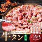 牛タン 塩 漬け 1パック100g×5袋