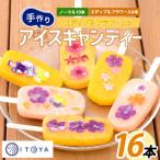 手作りアイスキャンディー エディブルフラワー入り 計16本