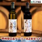 甲州辛口 ベーリーA2本セット