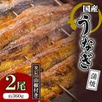 九州産 うなぎ 蒲焼 2尾
