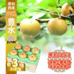 ふるさと納税 西尾市 【数量限定】「きらり園」 完熟 豊水梨 3kg・K341