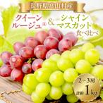 fu.... налог высота гора .[2026 год отправка ] автомобиль in мускат * Queen rouge (R) комплект 2~3.( примерно 1kg)