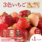 ふるさと納税 玄海町 ★予約受付★豪華!3色いちご食べ比べセット【C030】