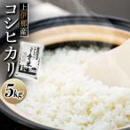 信州 上伊那今ずり米 精米5kg
