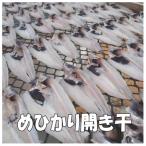 めひかり開き干 10枚×3パック