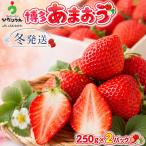 博多あまおう 冬 計約500g